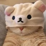 Avatar of Aqib Jamal